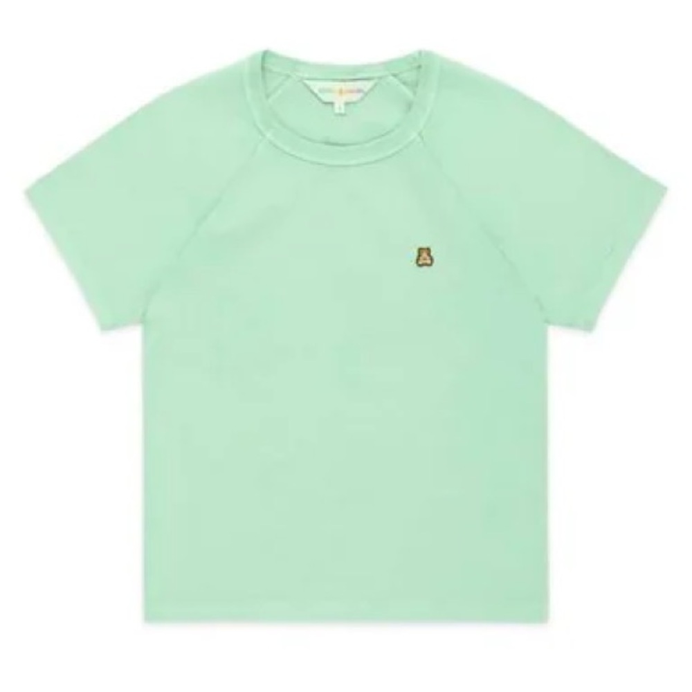 Teddy Fresh Women's Classic Pigment Dye Shrunken Short Sleeve Tee Shirt Size 2XL